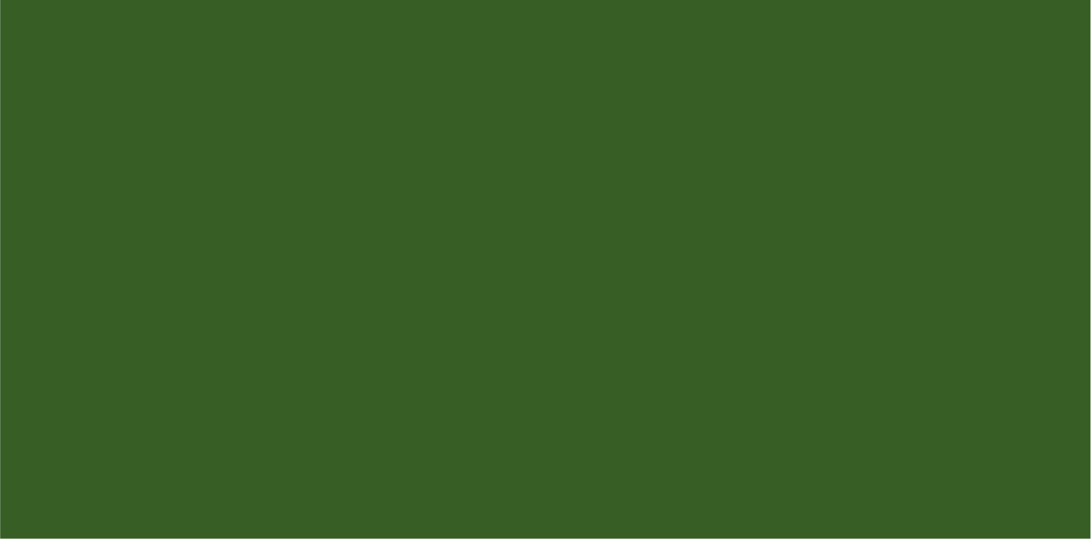 5971 SUPERSATURATED CHROME GREEN - QUART